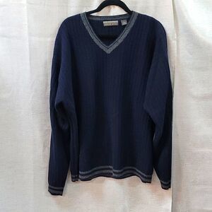 NWOT Men's V-Neck 100% Lambswool Blue Sweater